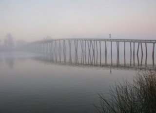Grizzly Island Bridge in Fog by Karlyn Lewis